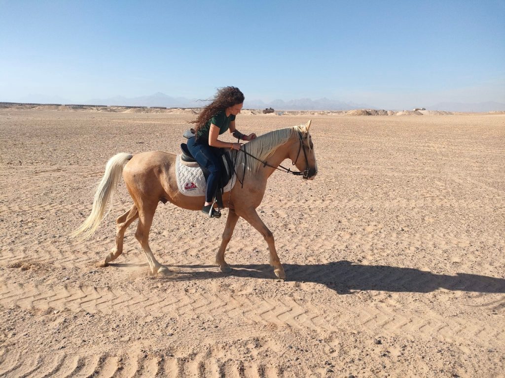 2 Hour Horse Riding Experience In Hurghada 9 1024x768